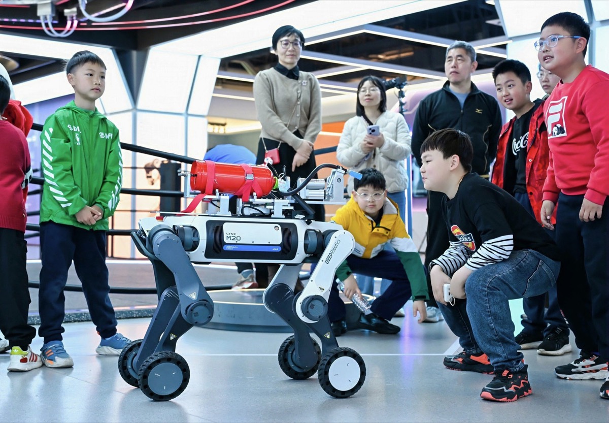 学员在 AI 研学营观察具身智能设备